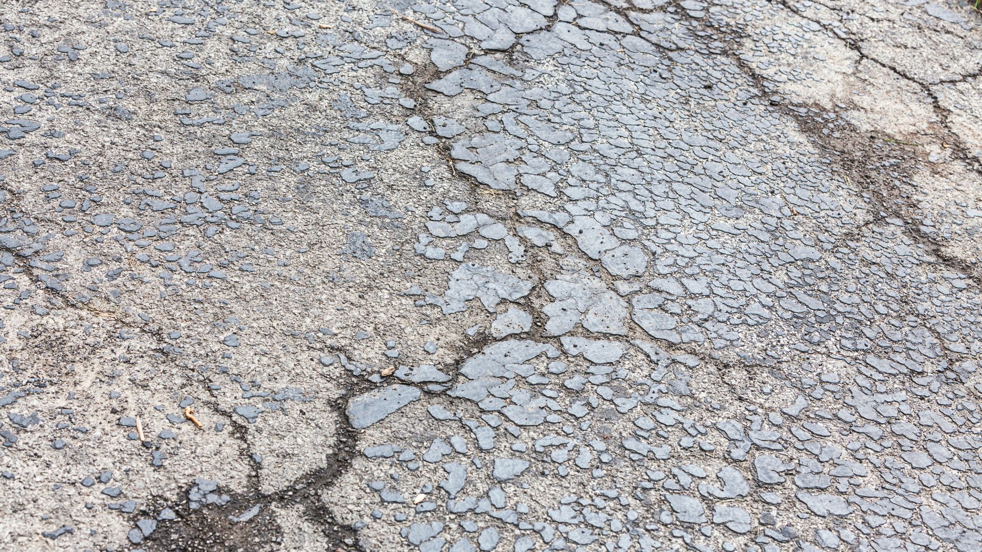 Close-up of weathered asphalt pavement with extensive alligator cracking.